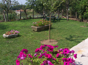 casa_rural_ourense_berta_3.jpg
